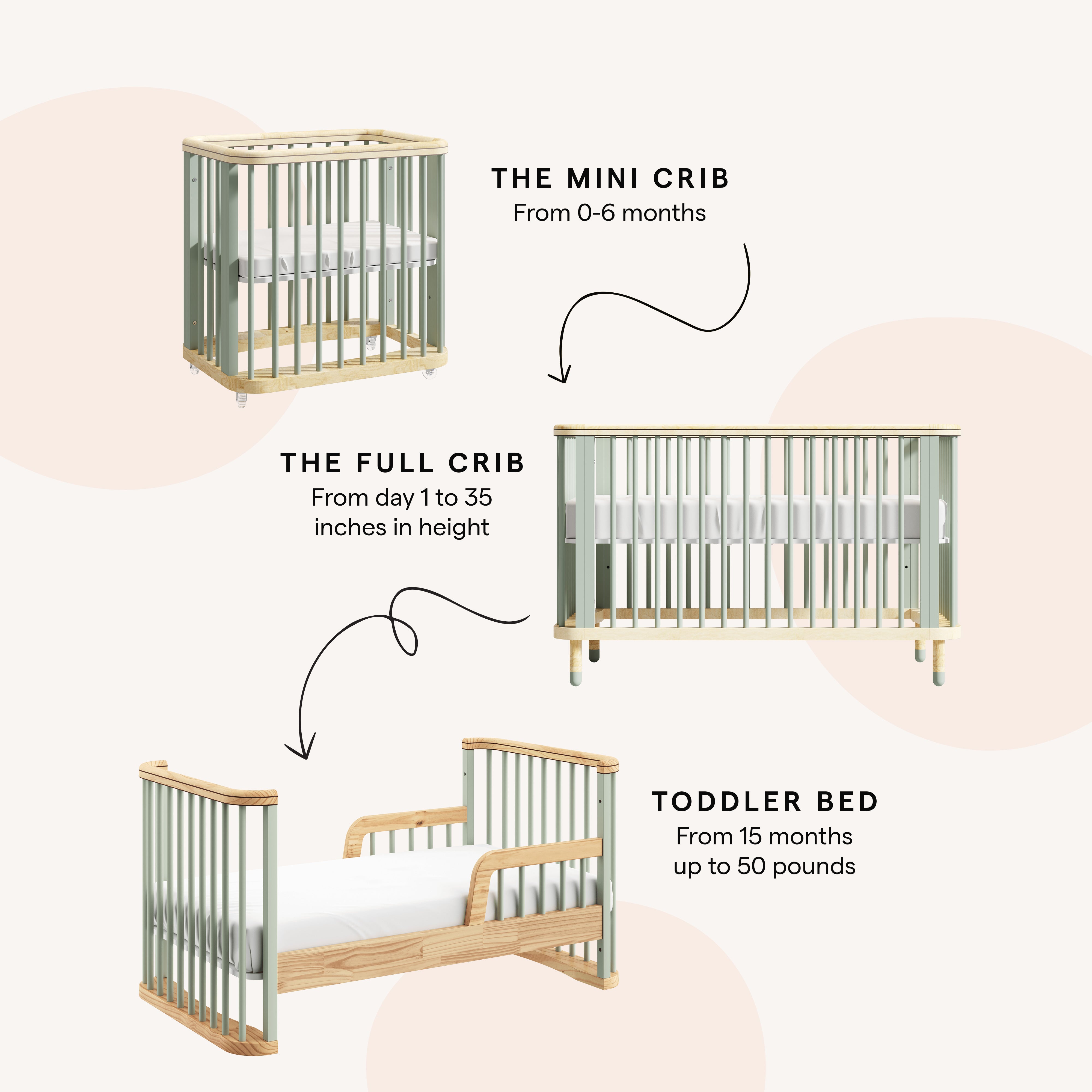 Baby day crib online