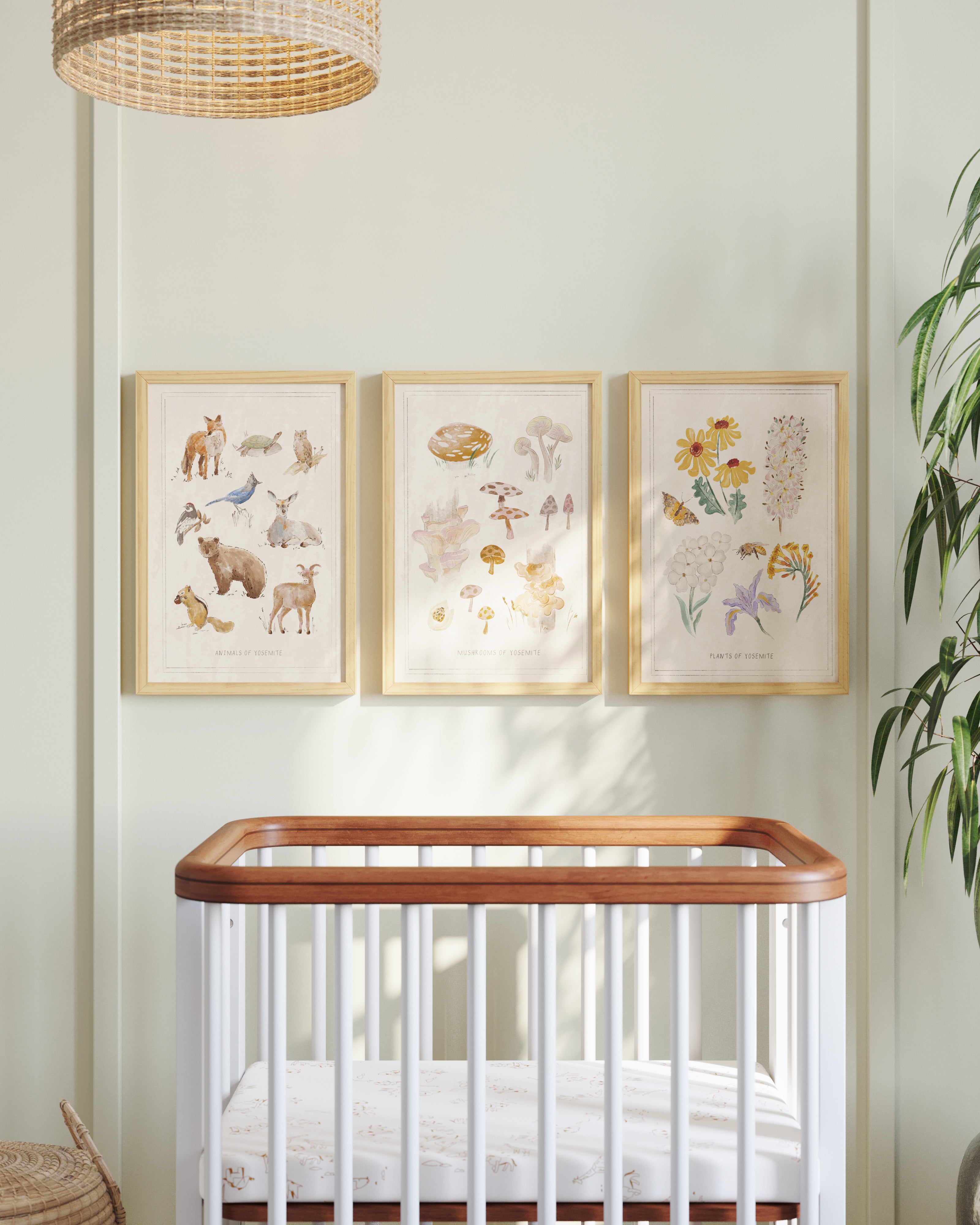 Ed ellen degeneres forest animal nursery furniture collection best sale